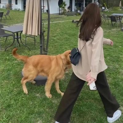 最后的忠臣藏